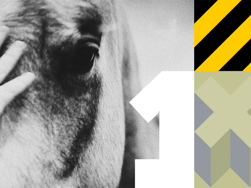 One Trick Pony One Trick Pony
